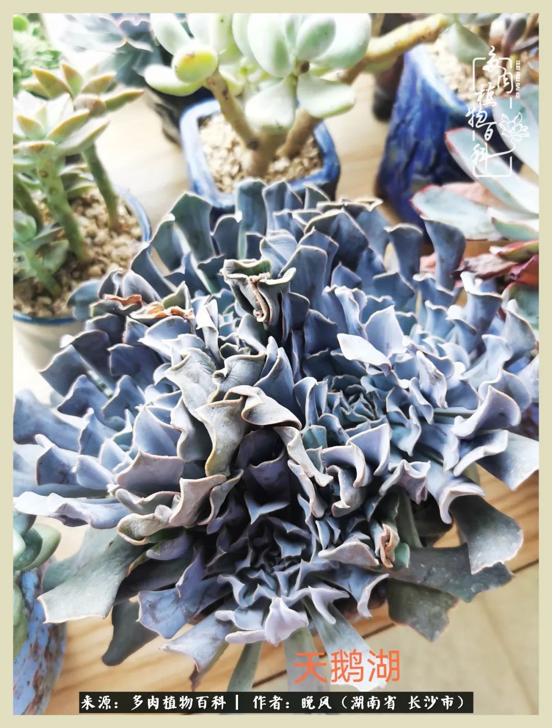 摇身一变成了奶爸,摇身一变成为打工人