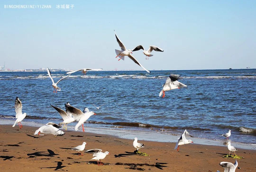 古北水镇司马台长城夜游几点开始,古北水镇旅游攻略司马台长城
