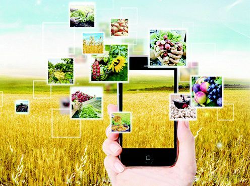 流变：农村电商2014——2017