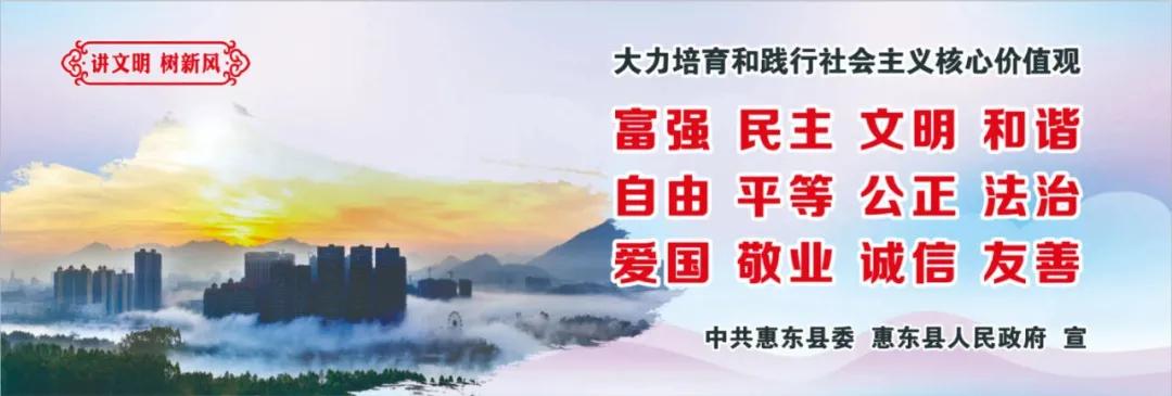 百佳诗意小城|@惠东人，快来为惠东打CALL!