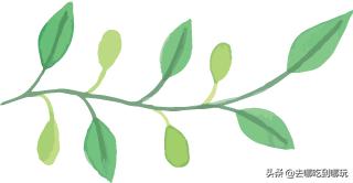 苏州大禹国际汗蒸温泉桐泾路,大禹国际汗蒸温泉虎丘