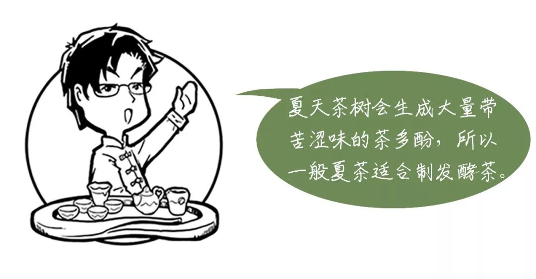 适合立夏喝的排寒养生茶,立夏养生茶配方大全