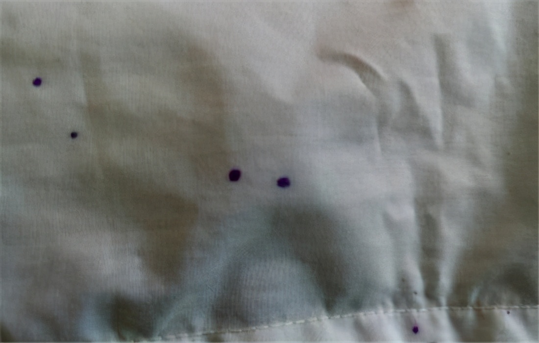 签字笔墨水怎么洗掉小妙招,衣服染上签字笔墨水怎么洗掉