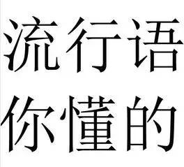 时代流行语老了,20个深刻的网络流行语