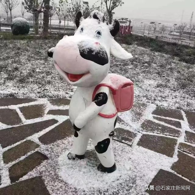 石家庄春节三日旅游攻略大全最新,石家庄附近春节必去十大景点推荐