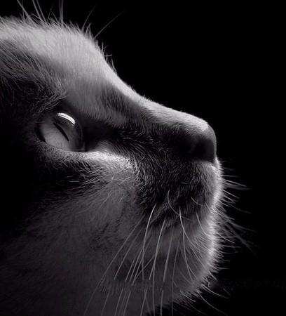 城中之城电视剧演员表,城中村商住房设计图