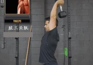 一对哑铃练全身5kg,一对哑铃练全身手臂二头三头小臂