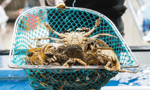 郑州超级鲜生春节不打烊，集“五福”领百万豪礼