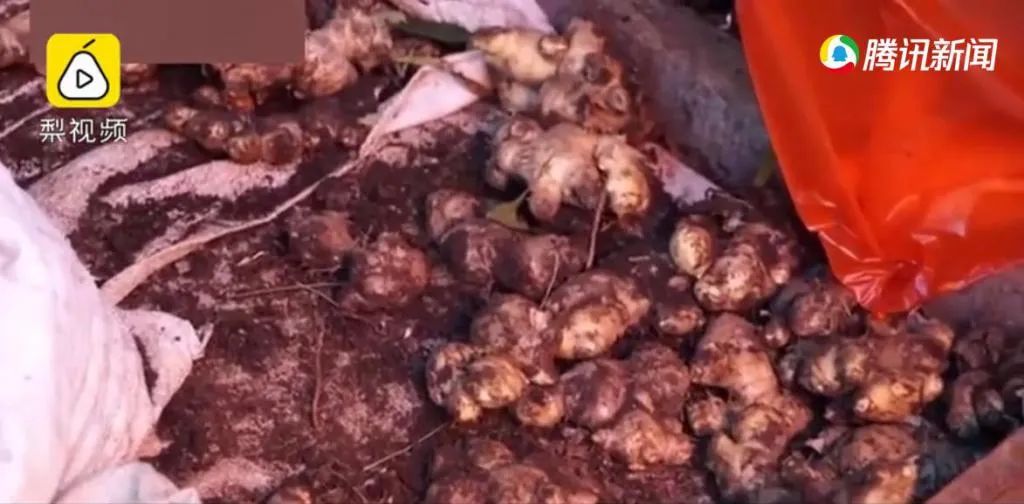 外国的抗疫情况,外国抗疫实况