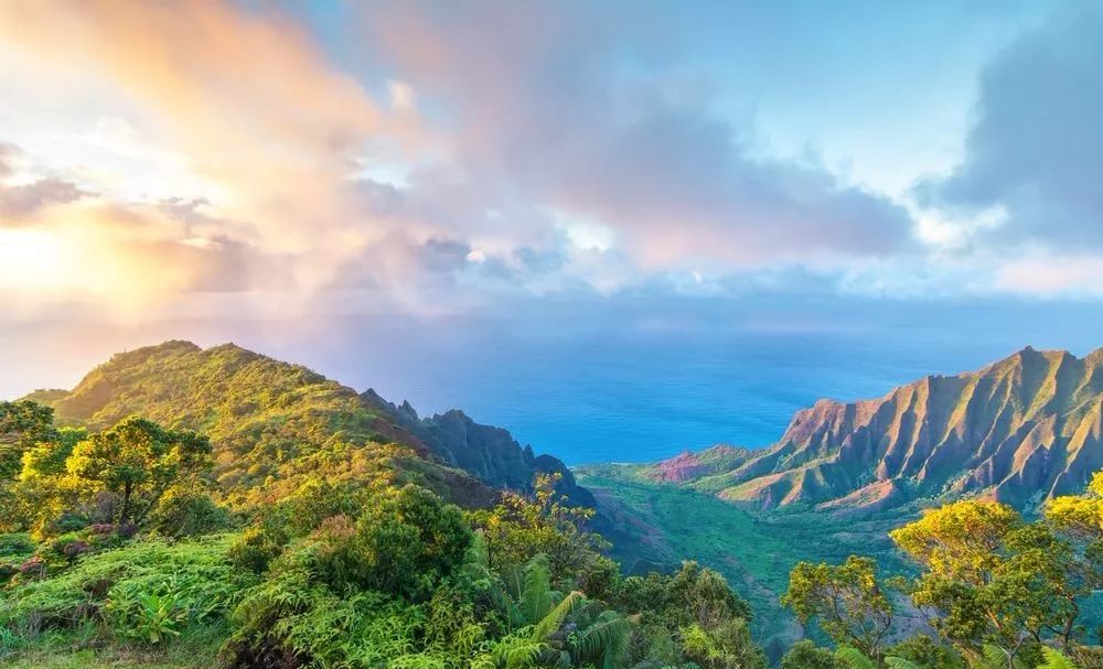 为什么一定要去夏威夷,为什么大家都去夏威夷