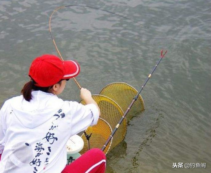 鱼竿的种类介绍及选择方法,鱼竿该选哪种鱼竿好呢知乎