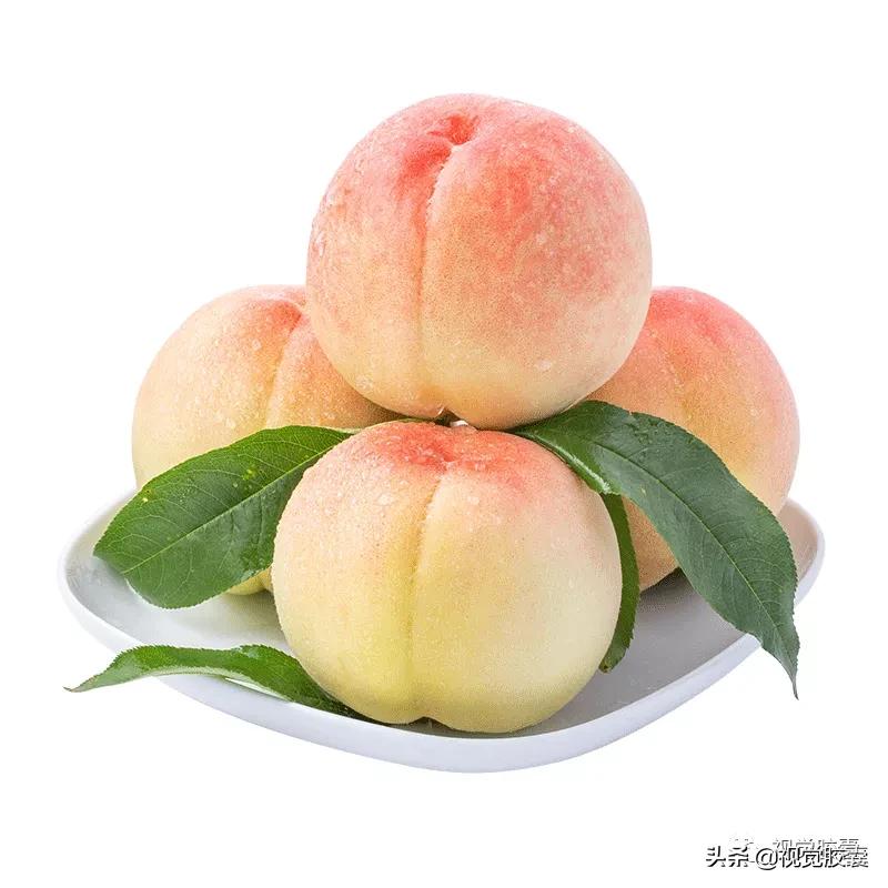 乡村蔬菜大棚的设计,蔬菜精美设计图片