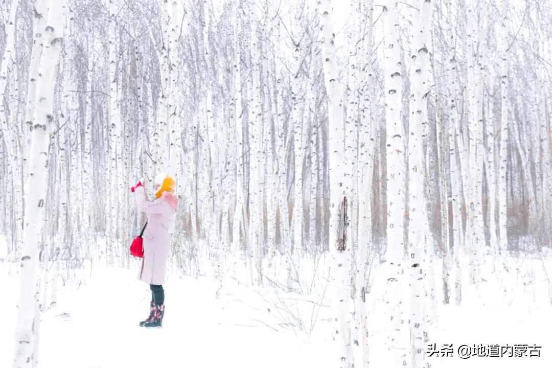 60岁之前要去的十大地方,一生中必去的中国50个最美的地方