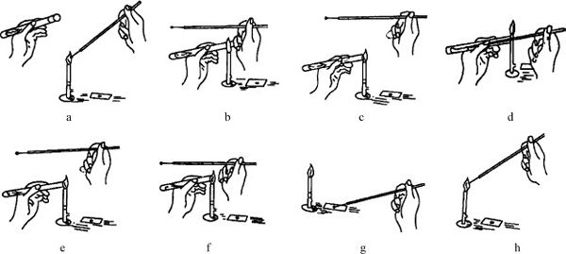细菌的形态结构观察和染色技术实验——万融实验