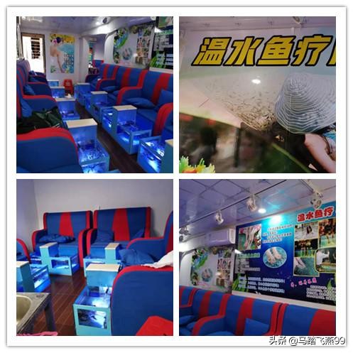 西塘民宿推荐及价格表,西塘景区内民宿推荐第一名