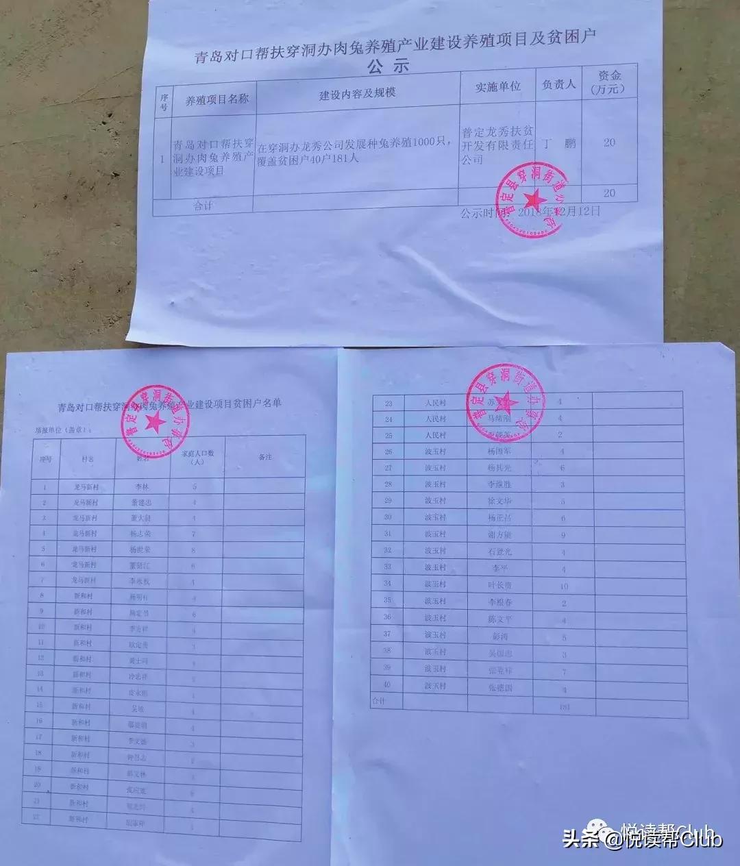 连成都人都赞不绝口的兔头空降安顺！这些兔兔还是安顺人自家养的