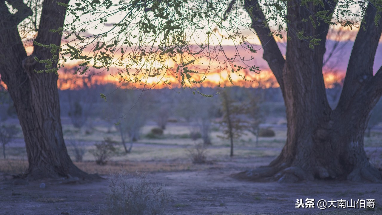 微贷网p2p理财怎么样,人人贷u享自动投标安全吗