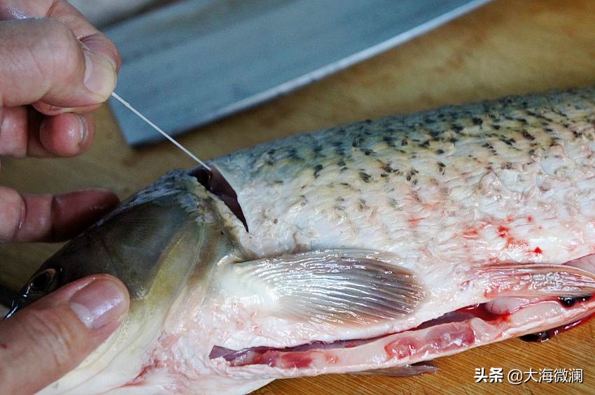 炖鱼后如何处理鱼肉不腥,过年炖鱼时放一点它鱼肉鲜嫩不腥