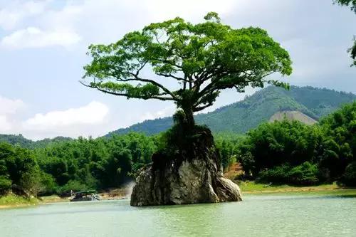 惠州龙门十大森林小镇,惠州南粤大氧旅游