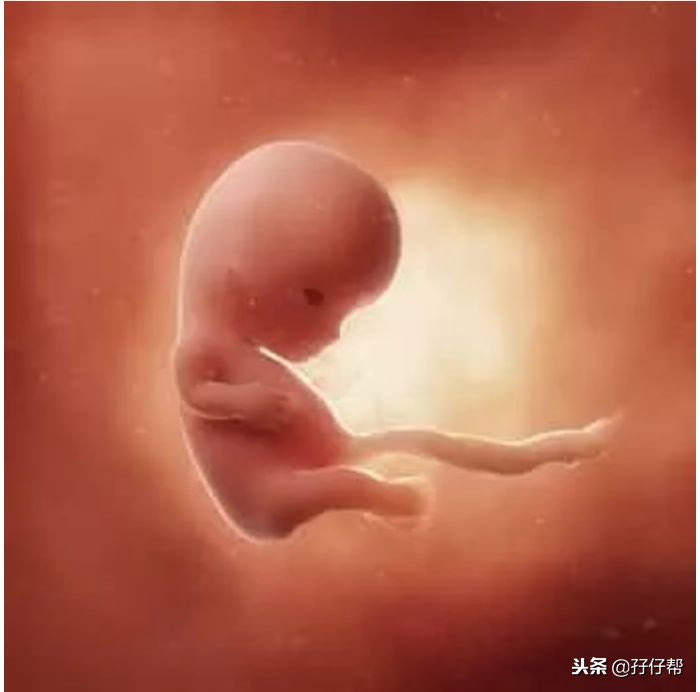 怀上双胞胎到底是幸运还是不幸,有一种生不如死的痛