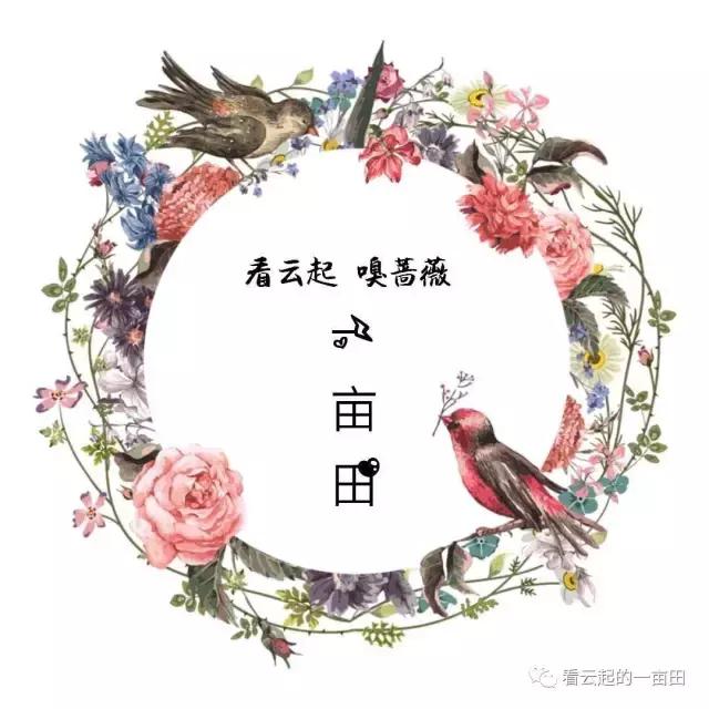 马兰花童年,马兰花童年故事