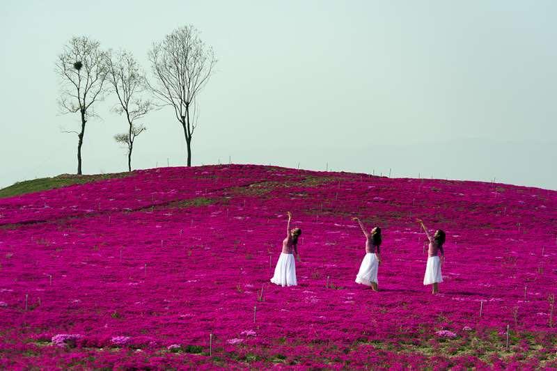 五一去哪玩带孩子济源,河南济源五一出行的最新通告