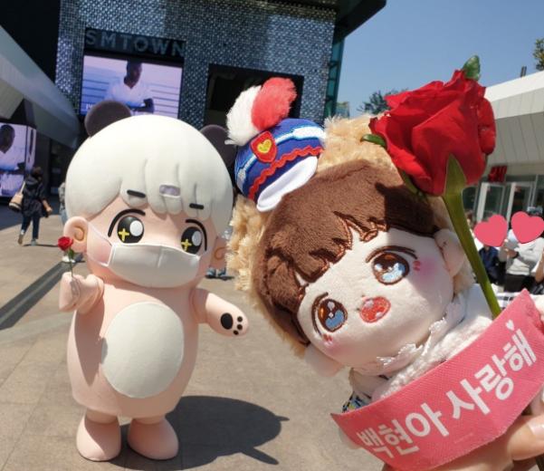 边伯贤生日直播和粉丝约定,边伯贤生日会应援花