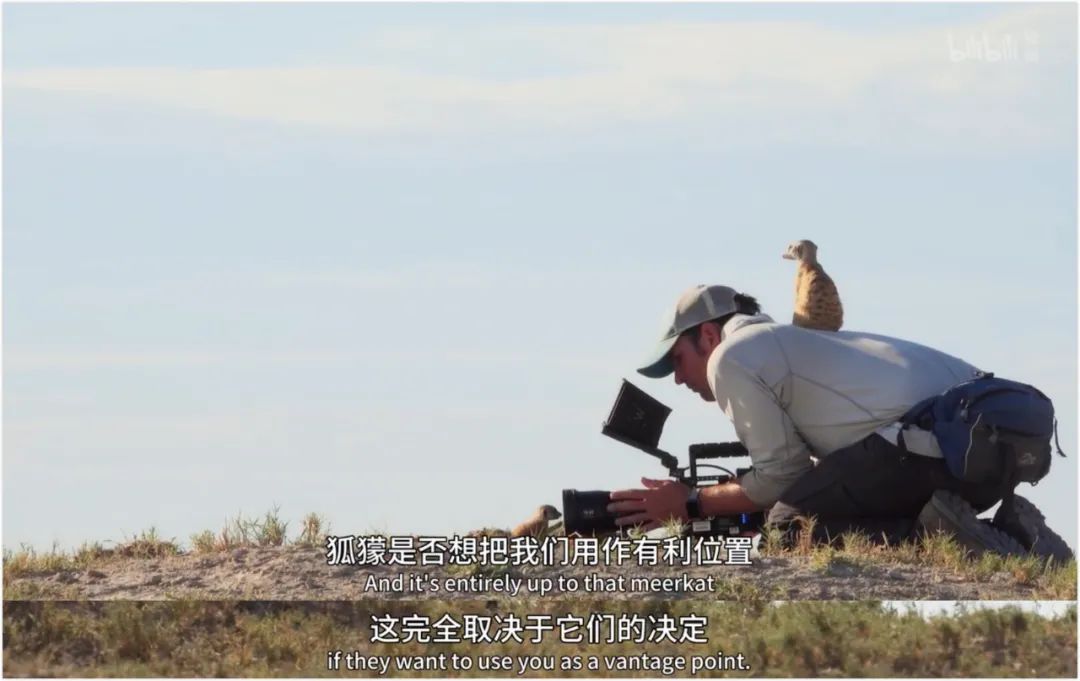 豆瓣评分9.5以上的国产电影有哪些,十部顶级神片推荐