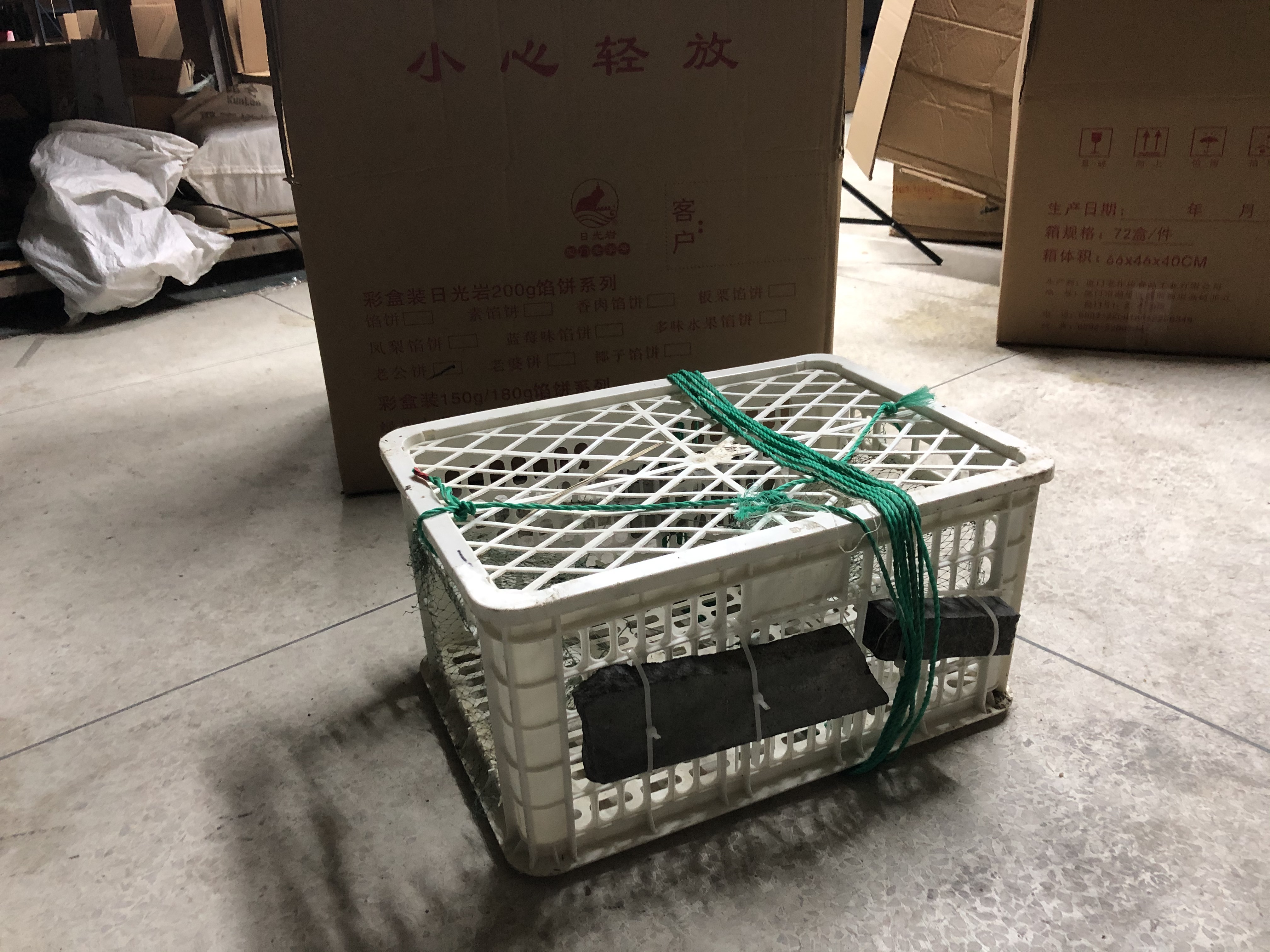 抓螃蟹的笼子自制教程,制作螃蟹笼捉螃蟹来吃