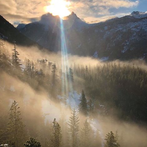 冬季世界冠军,世界冠军的辛酸