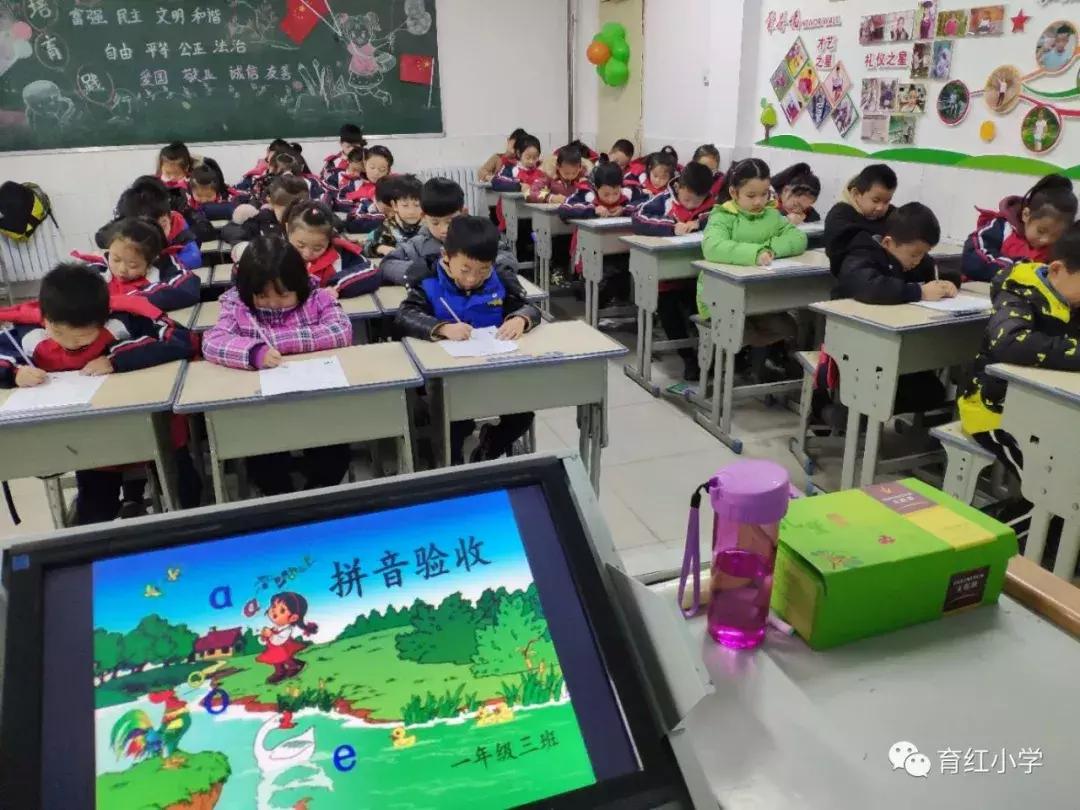 小学语文一年级音节拼写训练,汉语拼音素养评估一年级