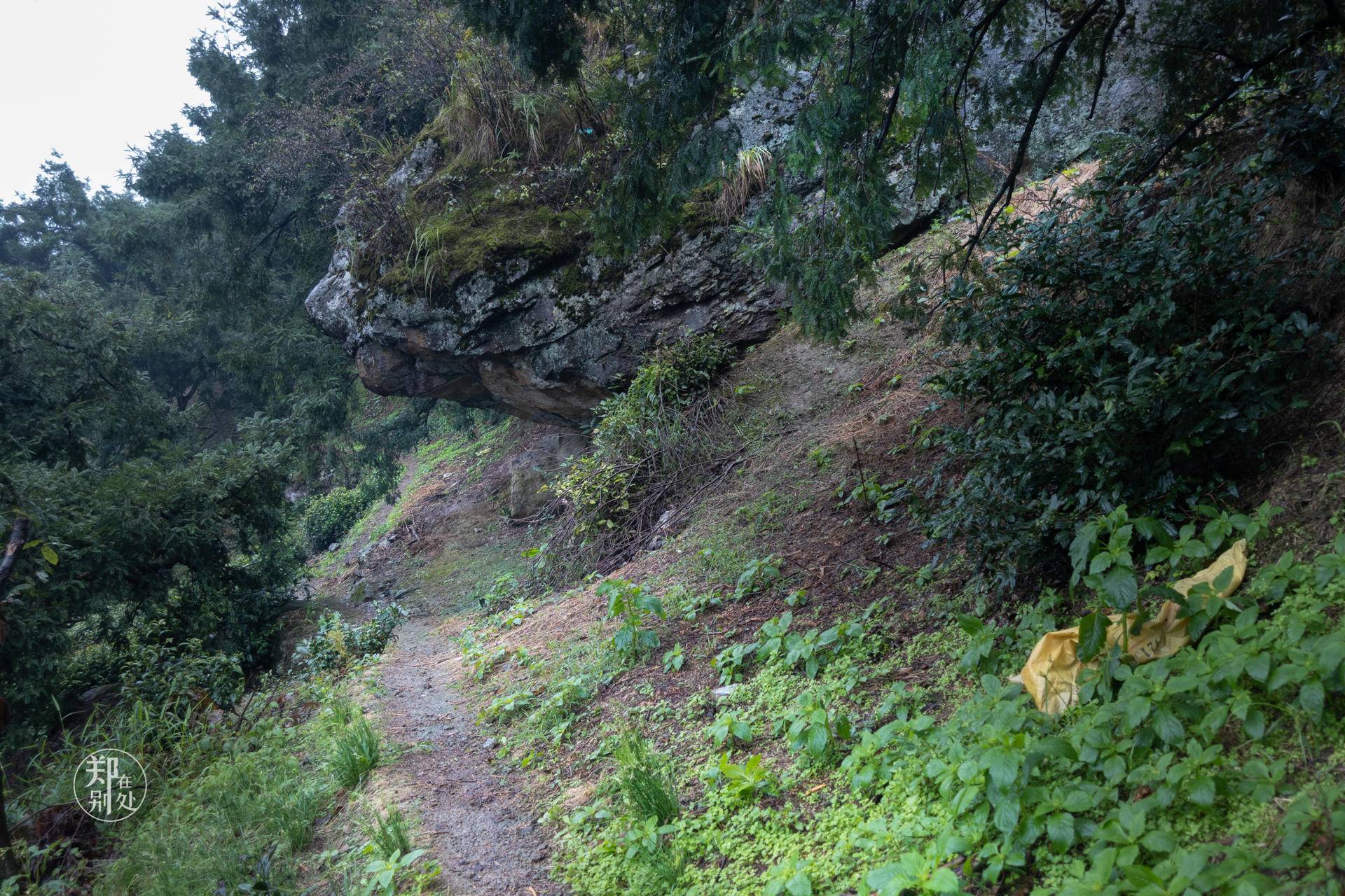 香榧古道,香榧古道徒步路线哪条景色美