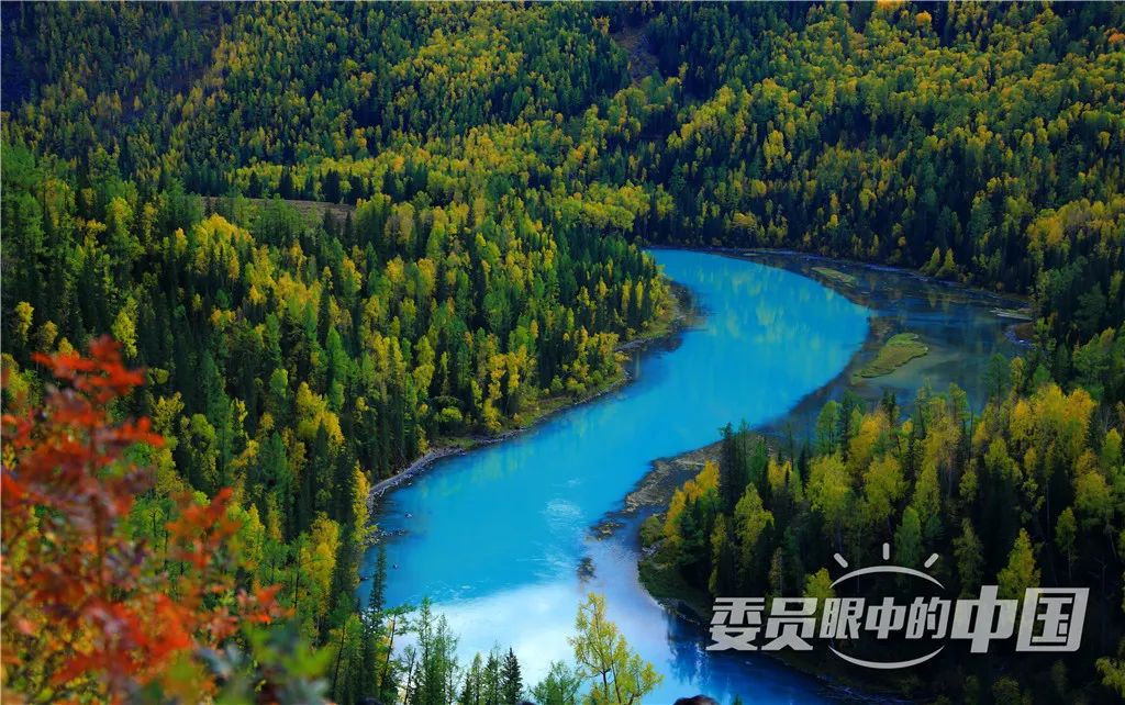 美丽中国中国篇,美丽中国双碳有我主题范文800字