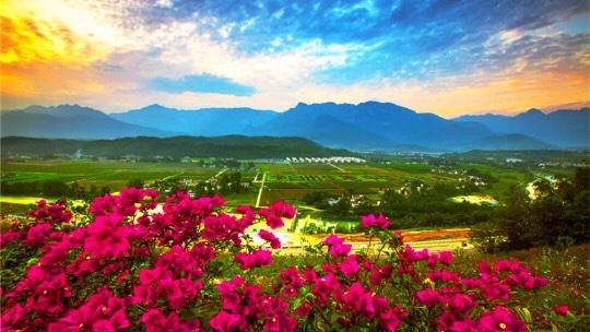 李子柒是四川绵阳平武哪里的人,美食旅游景点推荐博主