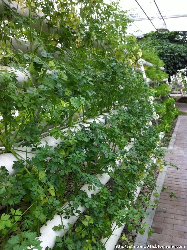 楼观台道教圣地,陕西第一福地楼观台