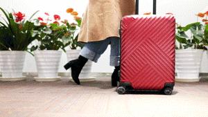 国产结实的旅行箱牌子有哪些,国产旅行箱哪个牌子好