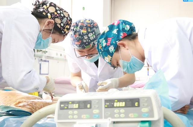 从向外跑到就近看区医院人才战略引领烧伤创疡科登上国际舞台