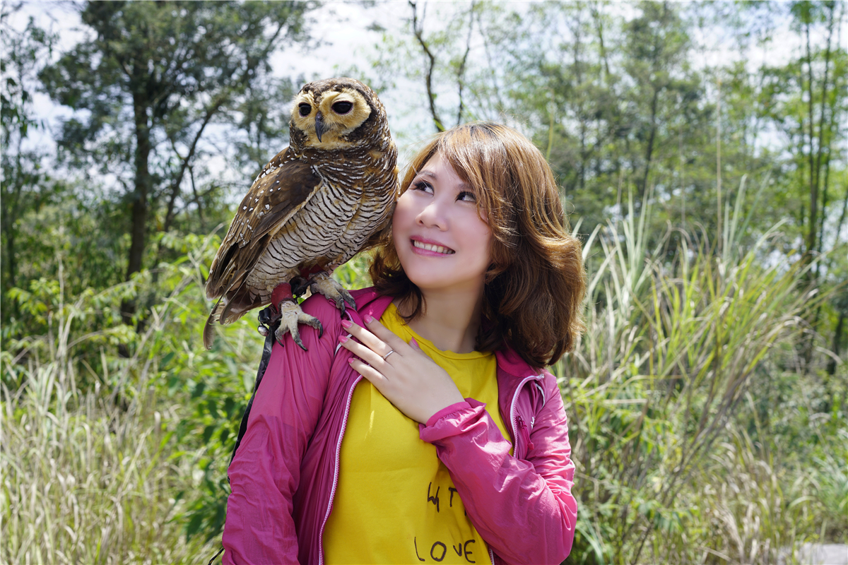 印度尼西亚的历史与文化,印度尼西亚文化体验