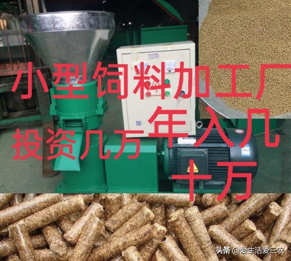 在农村开一家饲料加工厂需要什么,开个宠物饲料加工厂赚钱吗