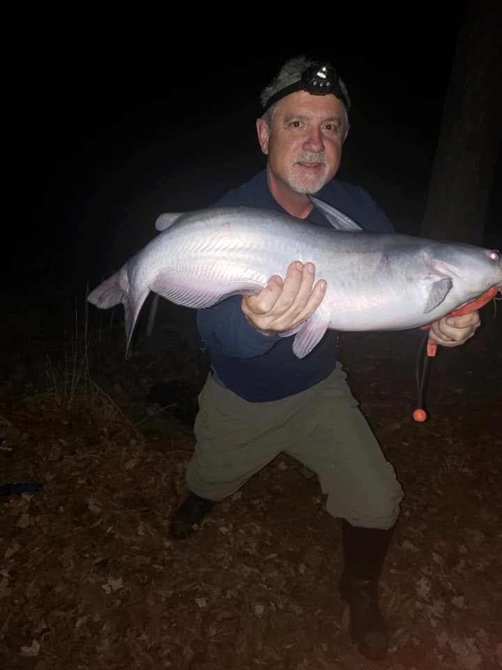 夜钓几点打窝容易上大鱼,夜钓没有顿口