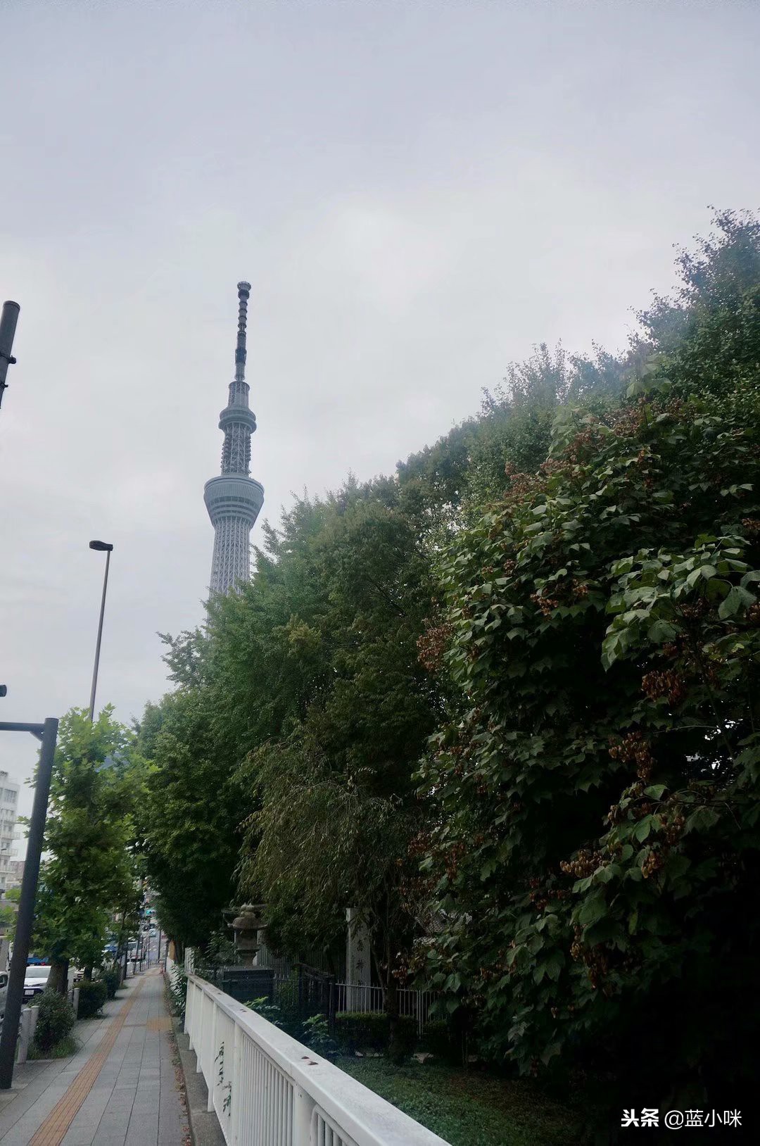 日本自由行7天看富士山,东京自由行攻略东京富士山自由行