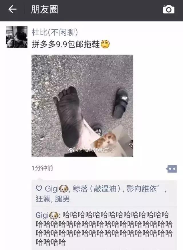 拼多多被全店下架3天怎么办,拼多多苹果事件