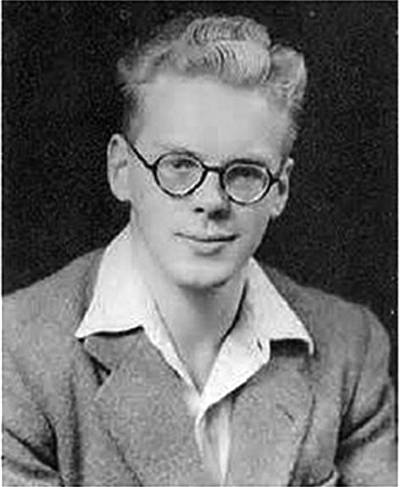 游隼自立飞行,游隼闭着翅膀飞