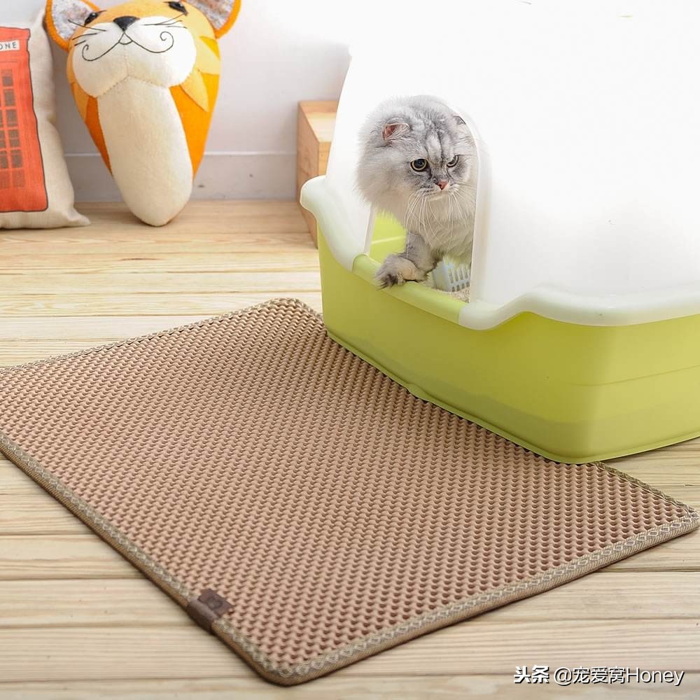 木质家具被猫咪抓了怎么修复,实木家具被猫抓坏了怎么修补