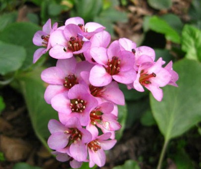 濂囪叮涓嵂,濂囪叮涓嵂瀵硅仈