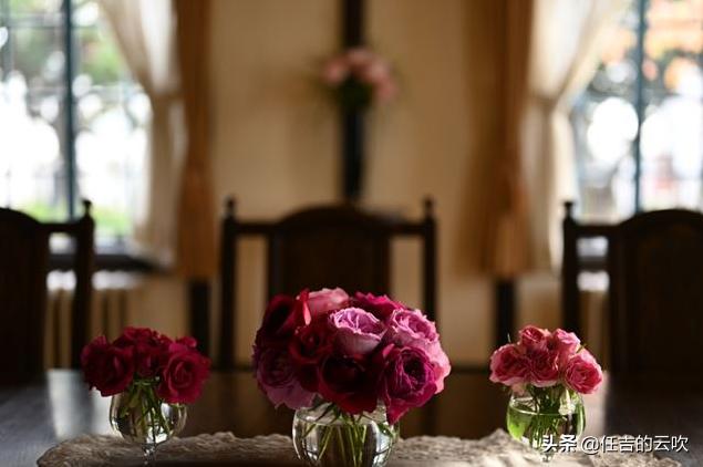 尼康50-1.8镜头测评,尼康z镜头501.8和851.8对焦速度