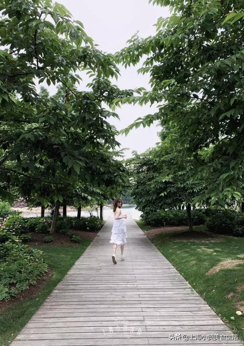 全世界十大网红打卡圣地,上海魔都网红打卡地写真