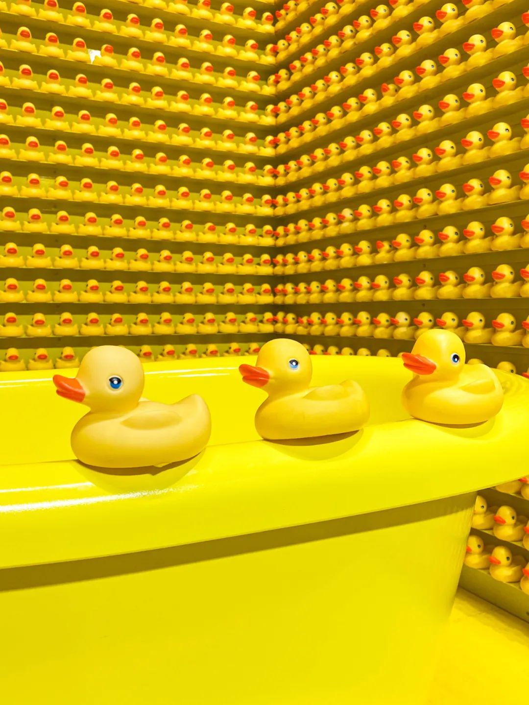 悉尼冬天能旅游吗,悉尼的冬季