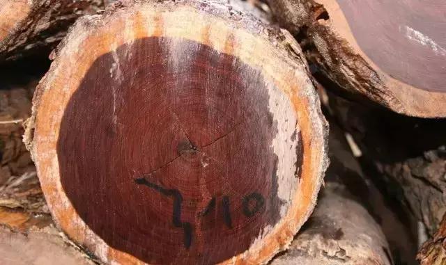 红檀是红木,红檀木是红木的一种吗