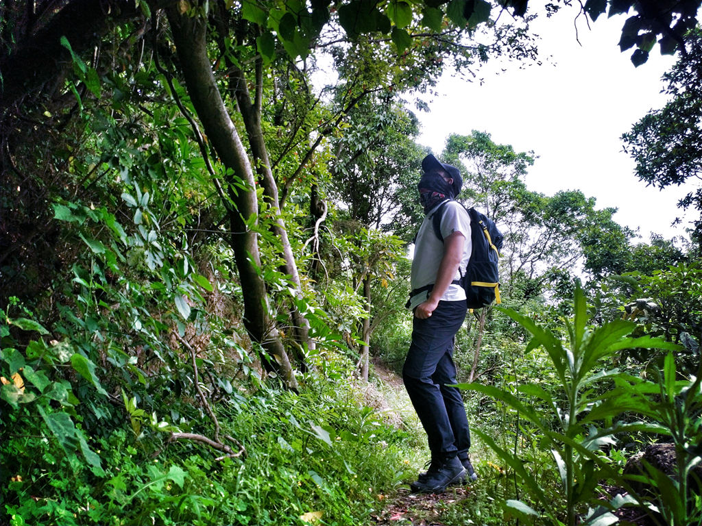 猛犸象什么装备好,猛犸象装备如何配